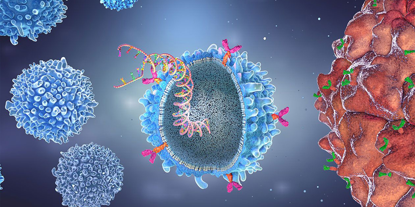 CAR-T Cell Therapy