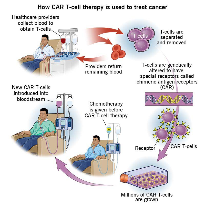 targeted-therapy-2.jpg